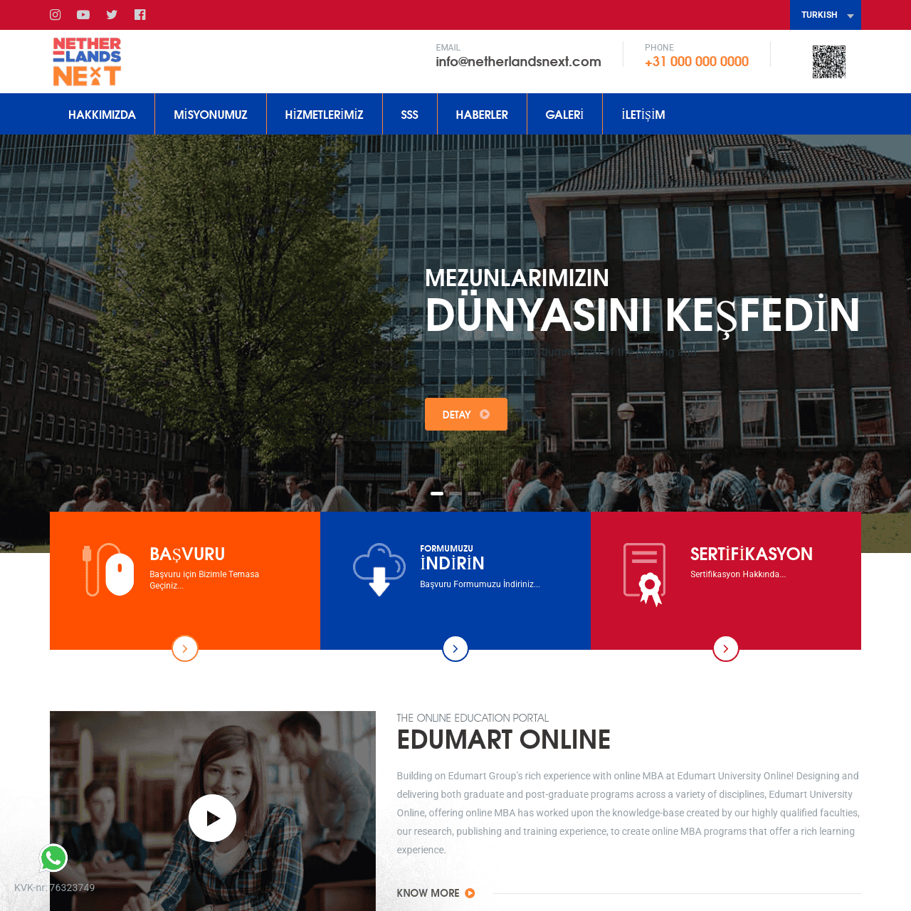portfolio popup